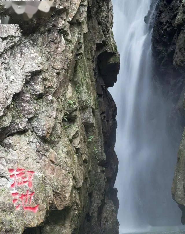 最后生还者2